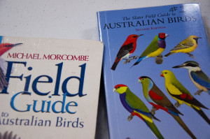 Habitat for Bush Birds - Birdwatching for Beginners