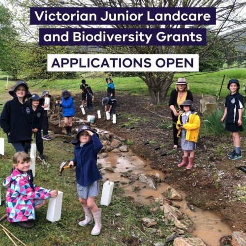 2023 Victorian Landcare and Junior Landcare grants are now open