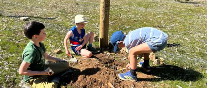 National Tree Day 2025 (2)