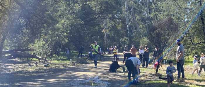 National Tree Day 2025 (4)