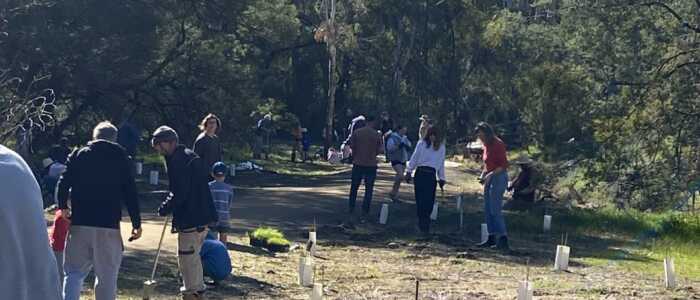 National Tree Day 2025 (4)