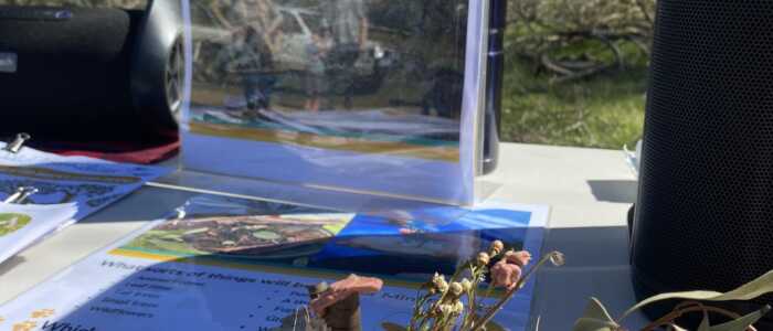 National Tree Day 2025 (5)