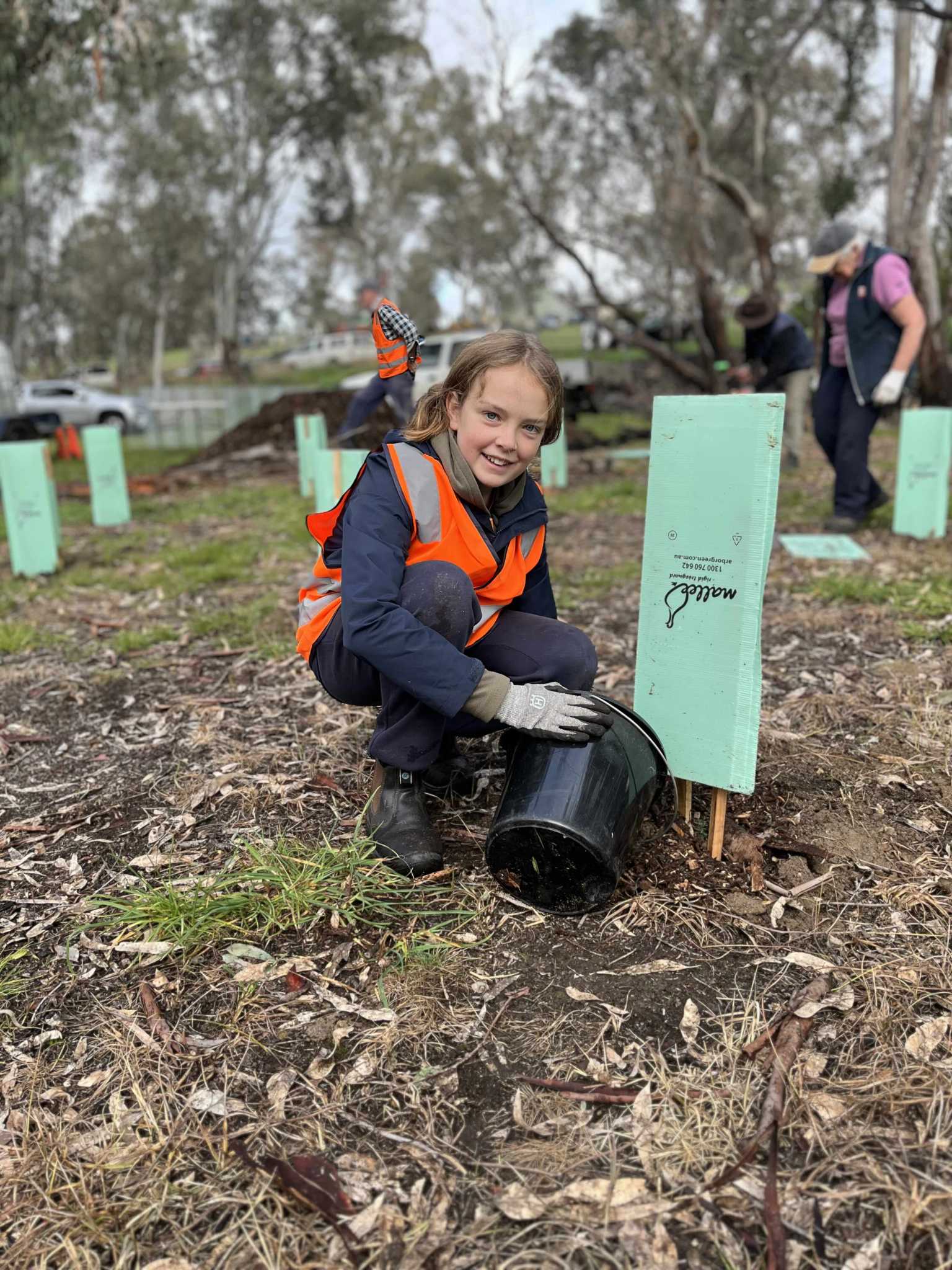 Sonny planting